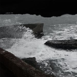 美女落体免费看网站
